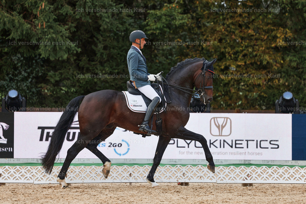 8_2-102-DRESSUR S_  -StoibPH-4455 | working equitationturnier fotograf videograf stoibphotography marixx film working equitation deutschland reitsport turnierfotografie eventfotografie equestrian events