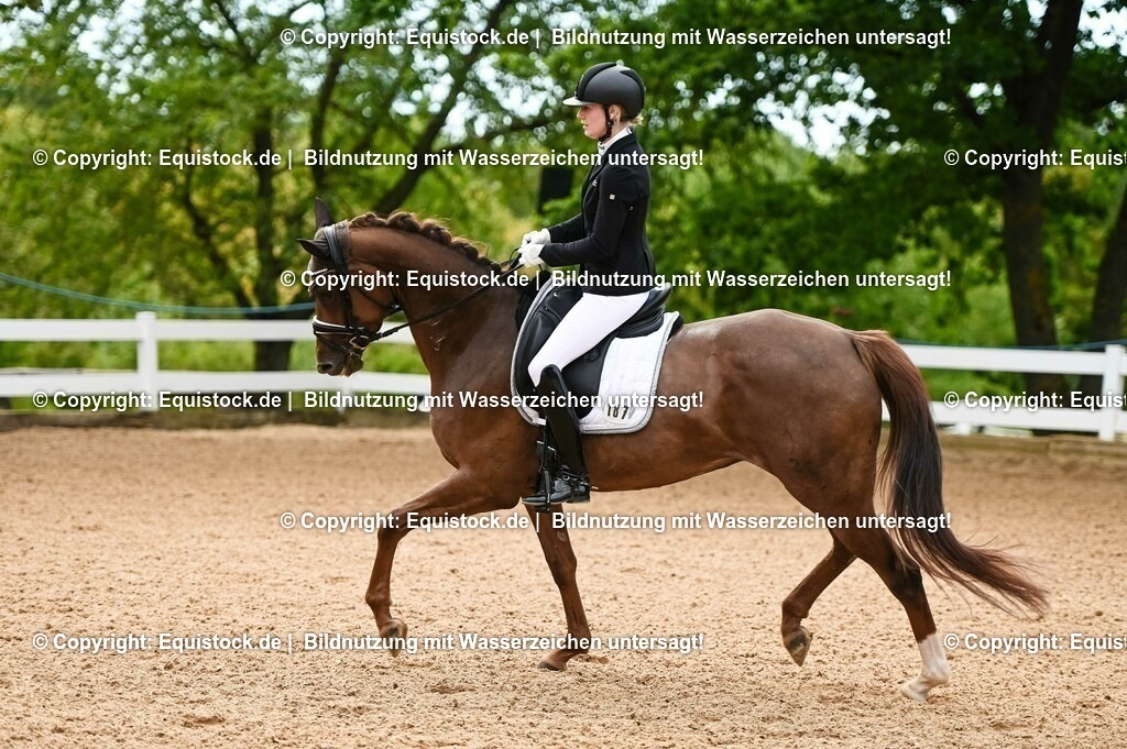 20230715_07_Dressurpferdeprfg. Kl.L_0057 | equistock