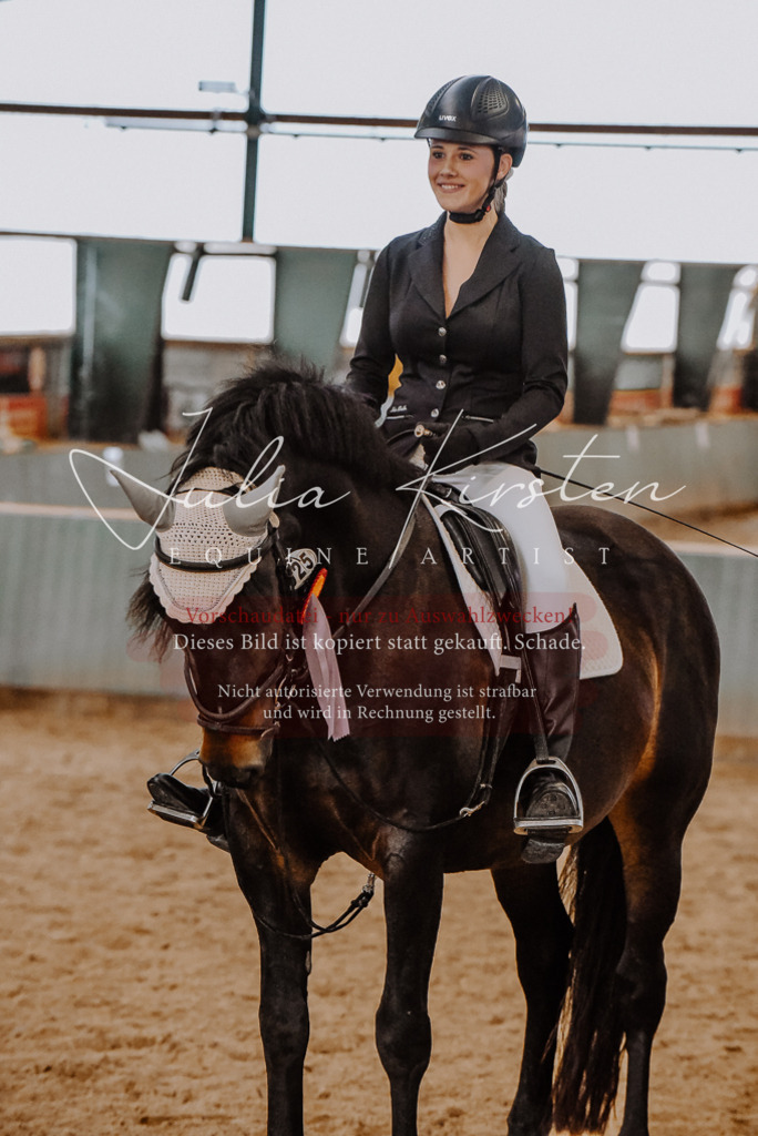 DSC_7601 | Pferde- und Turnierfotografie in Westsachsen. Pferdeportraits, Auftragszeichnungen und intuitive Kunst.