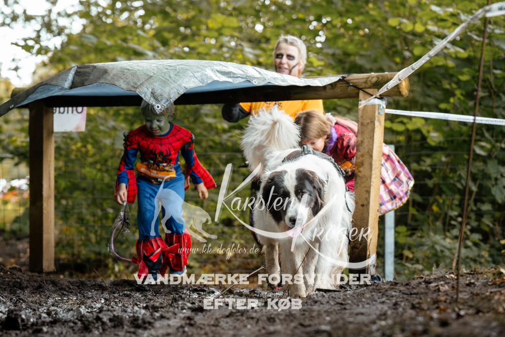1436DZ6_3119Z6 | kk-dogfotos