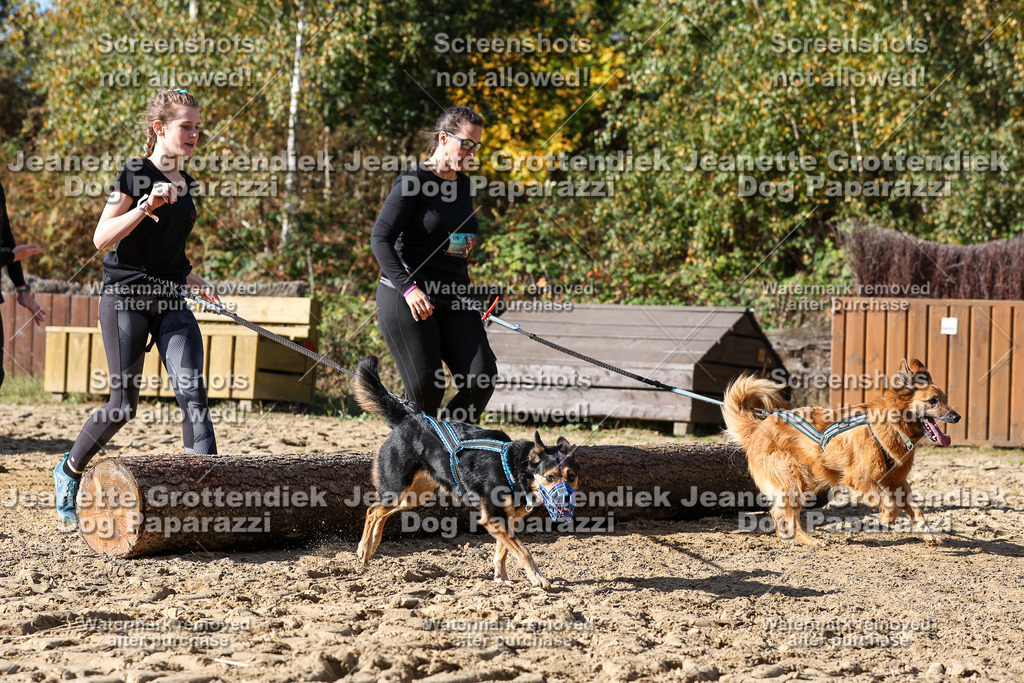 Dog Paparazzi - Strongdog 10-25-4844 | Dog Paparazzi Jeanette Grottendiek Fotografie & Videografie - Realisiert mit Pictrs.com