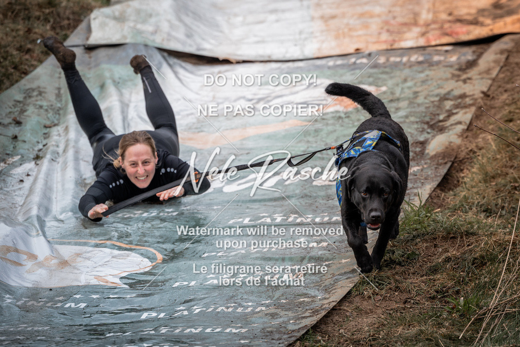nelerasche_1330-1400_246 | nelerasche