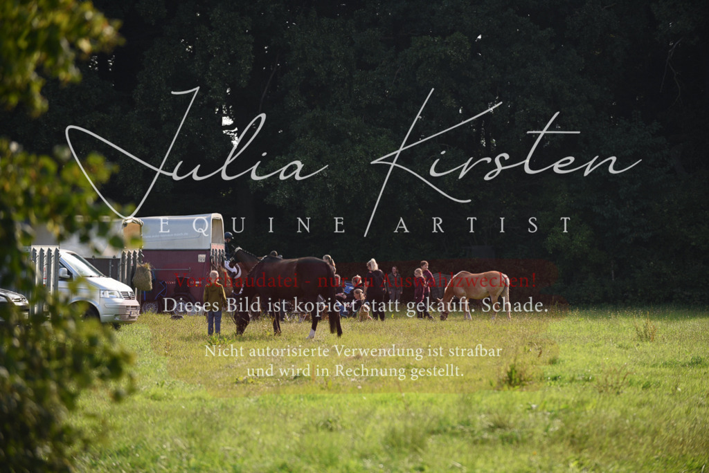 DSC_8529 | Pferde- und Turnierfotografie in Westsachsen. Pferdeportraits, Auftragszeichnungen und intuitive Kunst.