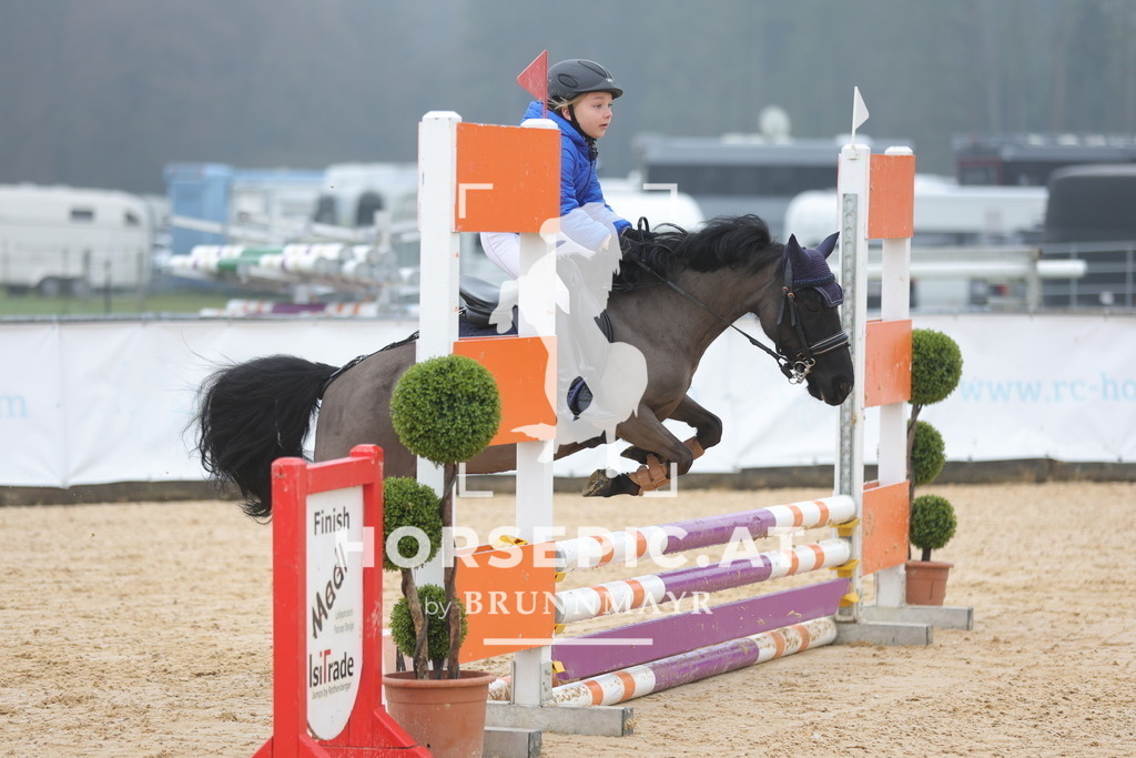 0P6A8287 | Willkommen bei Brunnmayr - Design & Fotografie – Ihrem Spezialisten für Reitturniere und Pferdeveranstaltungen in Oberösterreich, Salzburg und Bayern! Seit über 17 Jahren sind wir leidenschaftlich dabei.