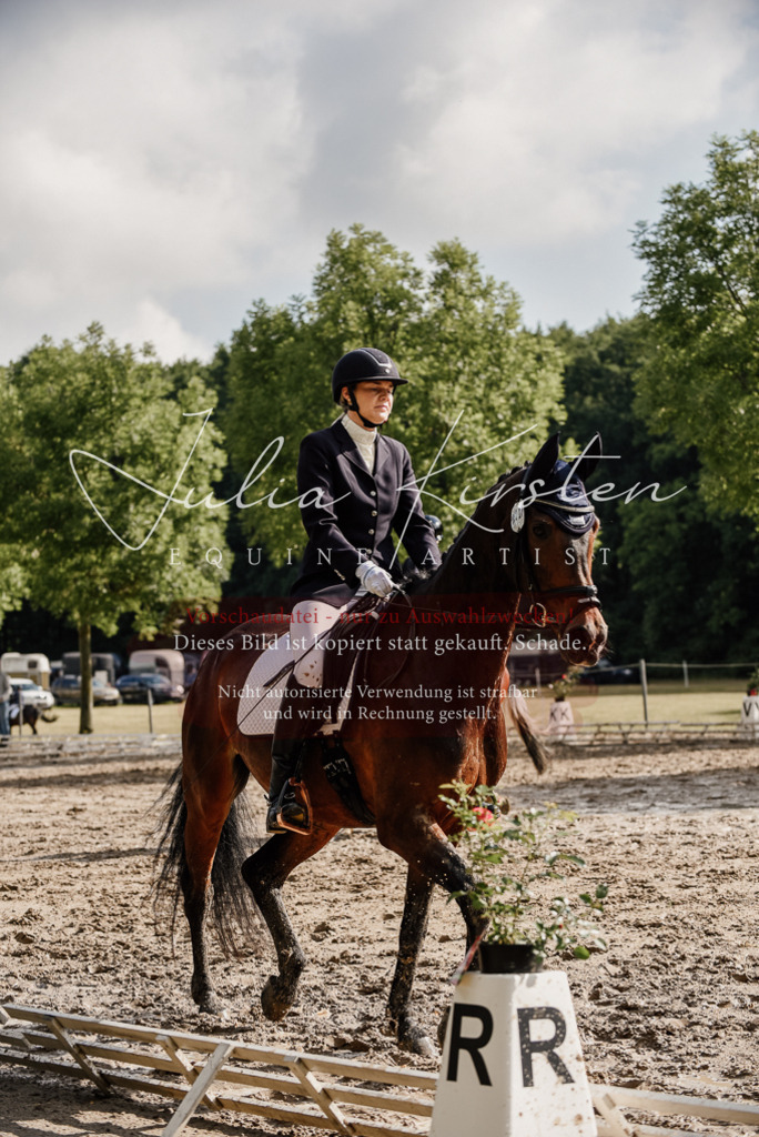 DSC_8755 | Pferde- und Turnierfotografie in Westsachsen. Pferdeportraits, Auftragszeichnungen und intuitive Kunst.