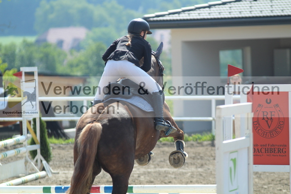 IMG_3205 | equestrian-live-com