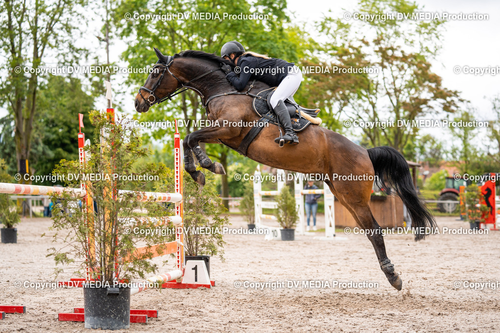 Eppelheim Tag 3-75 | dv-media-shop - Realisiert mit Pictrs.com