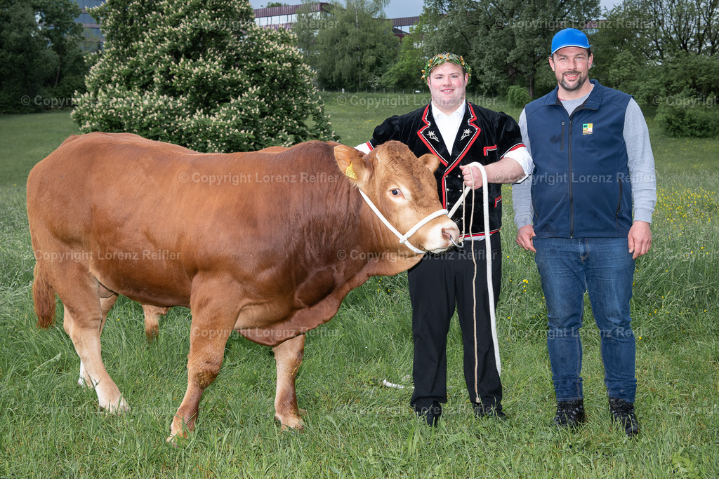 Schwingen -  Zürcher Kantonal 2023 | Zürich Allmend, 14.5.23, Schwingen - Zürcher Kantonal.