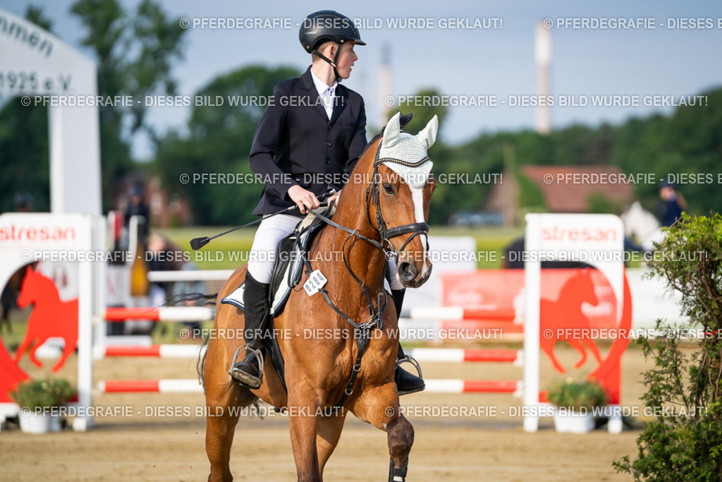 DSC02753 | Pferdegrafie