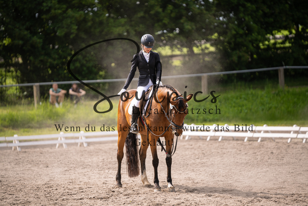 A7V02602 | Pferdefotograf