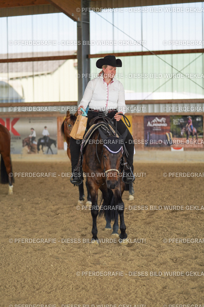 DSC00020 | Pferdegrafie