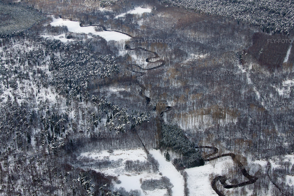 Aerial view: Lautertal in the Bienwald in Schleithal in the state Bas-Rhin, France.Photo: IMG_36244.jpg taken on 01/02/2011 by Werner Riehm/FLY-FOTO.comResolution of the original: 4752 x 3168 px