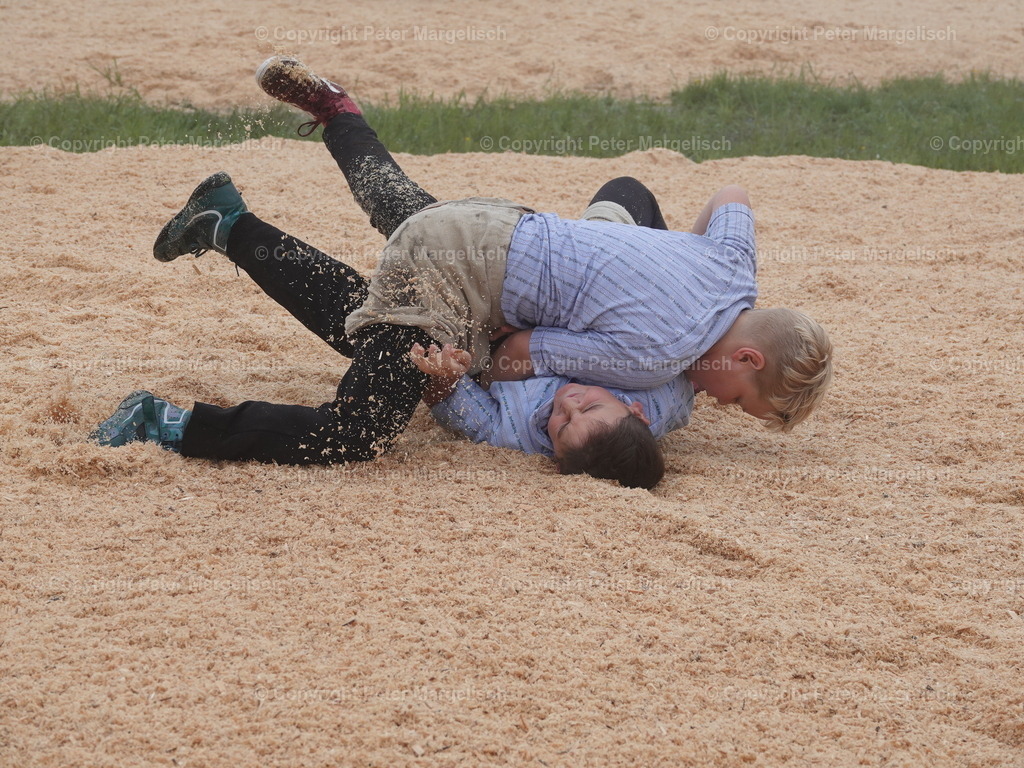 DSC07818 | Schwingen - Realisiert mit Pictrs.com