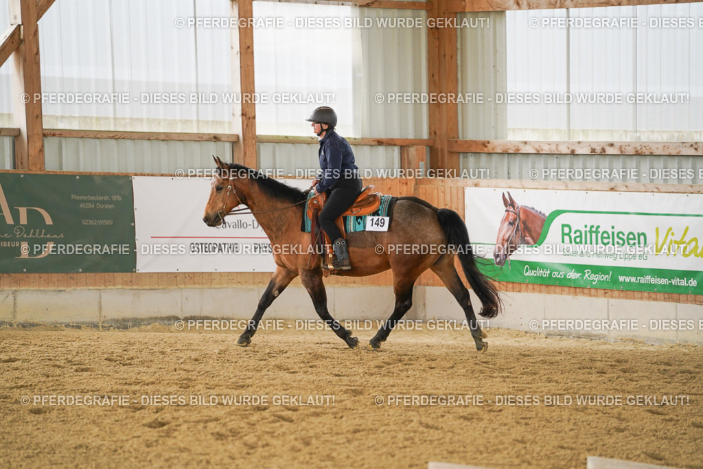 DSC03809 | Pferdegrafie