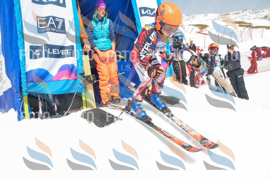 _ELE7332 | holidayphoto