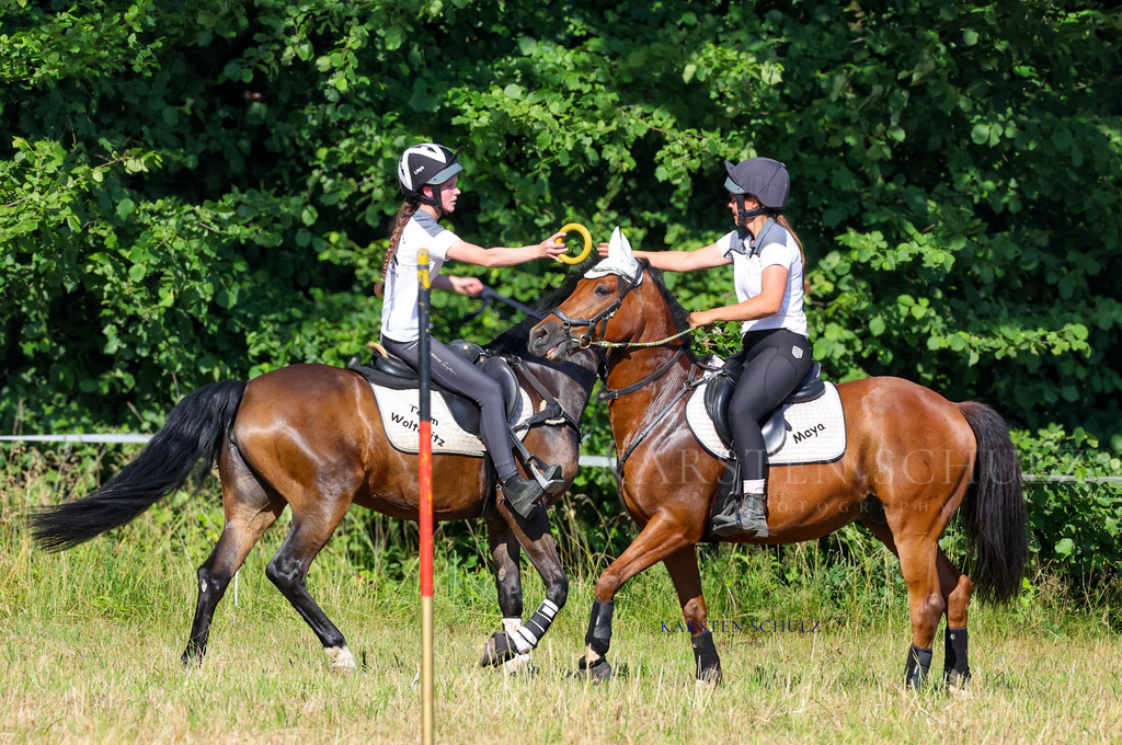 1B3A8311 | Reitsport Reiten