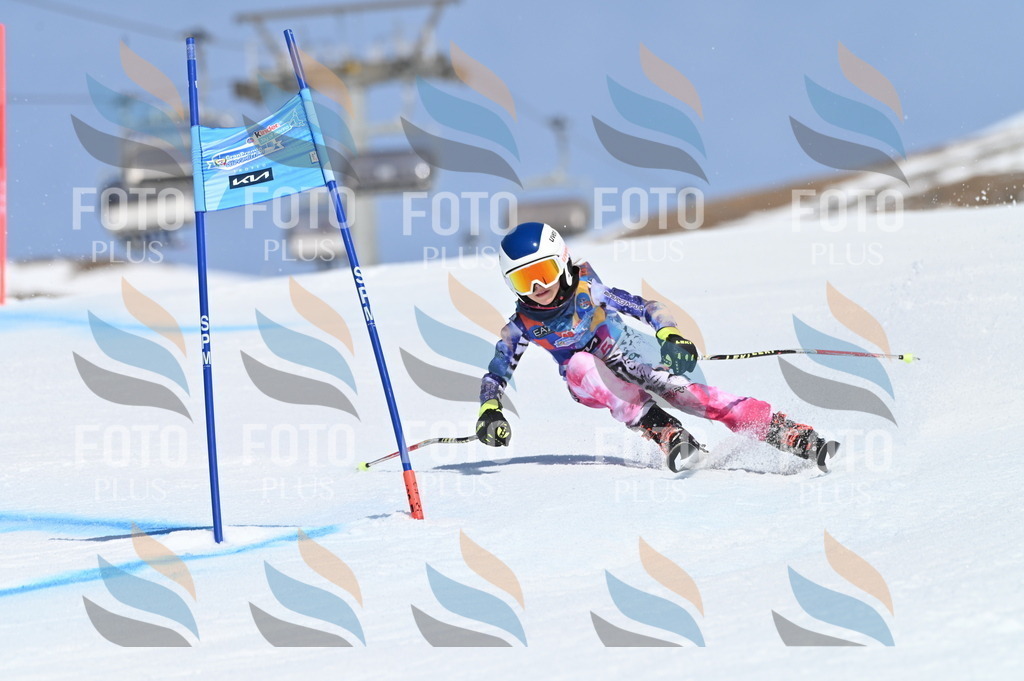 BGV_9717 | holidayphoto