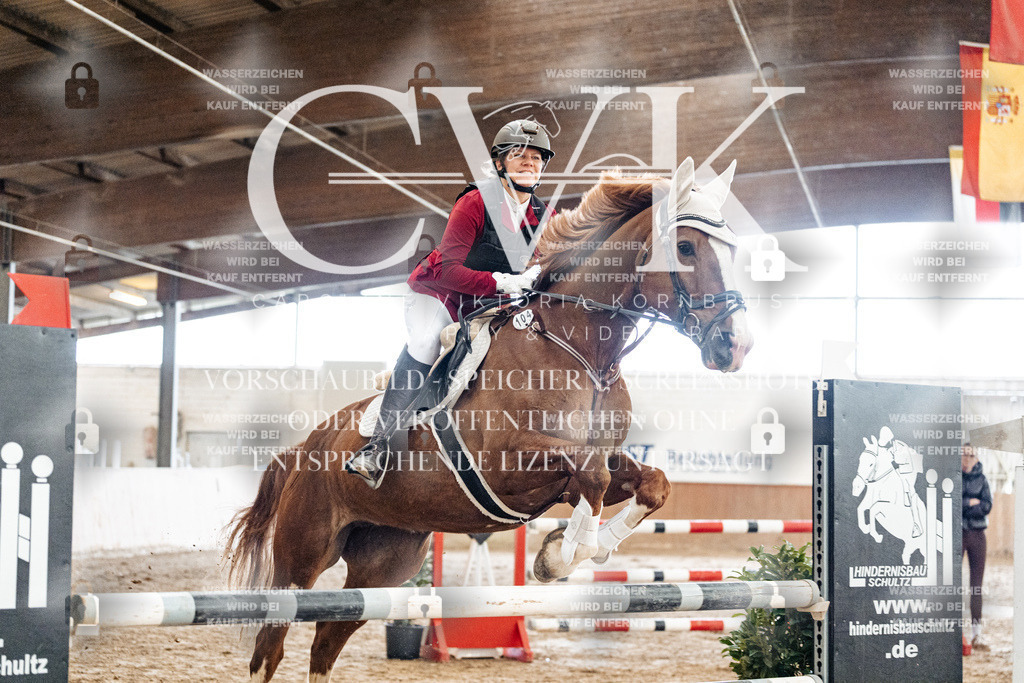 CK906299 | Turnierfotografie Pferdefotografie Trier Rheinland-Pfalz Pferdesport Reitsport Tierfotografie Sportfotografie Pferdevideo Pferdevideografie Equestrianvideography equestrianphotography  - Realisiert mit Pictrs.com