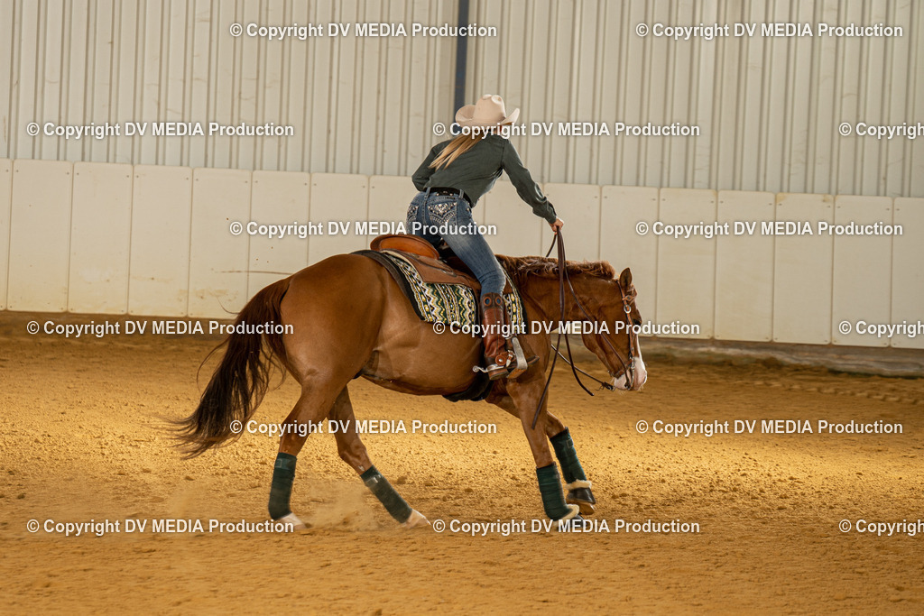 MIT00148 | dv-media-shop - Realisiert mit Pictrs.com