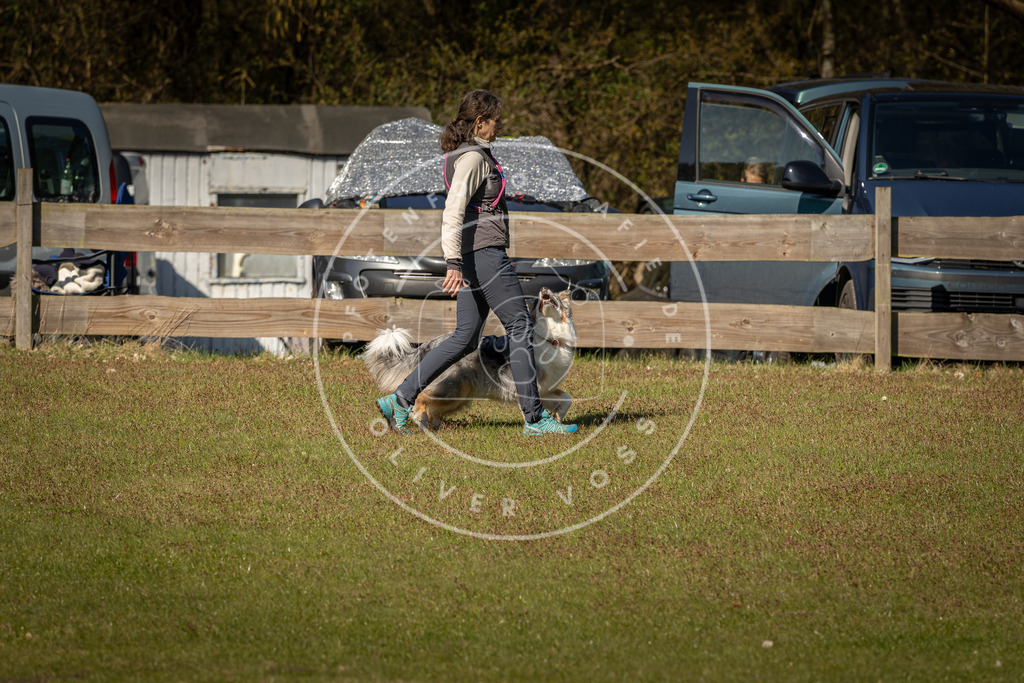 Pfotenfotografie_DV3A0500 | Hundefotografie, Tierfotograf, Pfotenfotografie, Fotoshooting Hund, Hunde Portrait, Hundesport, Hundeportraits, Heideshooting, Hunde, Sportfotograf, Hundefotograf, Turnierhundsport, THS,  - Realisiert mit Pictrs.com