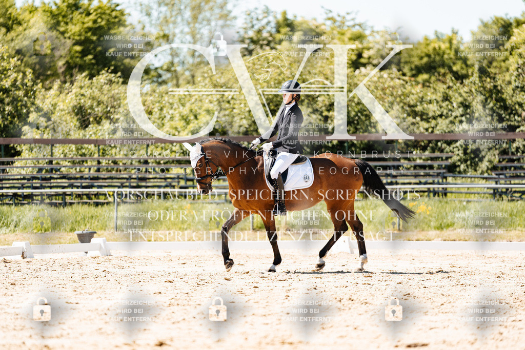 CK905898 | Turnierfotografie Pferdefotografie Trier Rheinland-Pfalz Pferdesport Reitsport Tierfotografie Sportfotografie Pferdevideo Pferdevideografie Equestrianvideography equestrianphotography  - Realisiert mit Pictrs.com