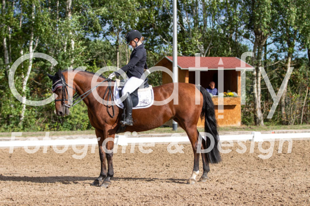 IMG_5311 | Creatify Fotografie