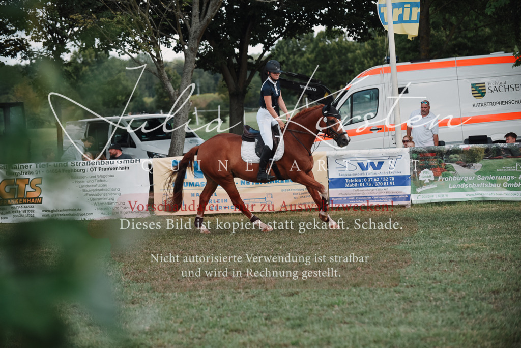 DSC_5600 | Pferde- und Turnierfotografie in Westsachsen. Pferdeportraits, Auftragszeichnungen und intuitive Kunst.