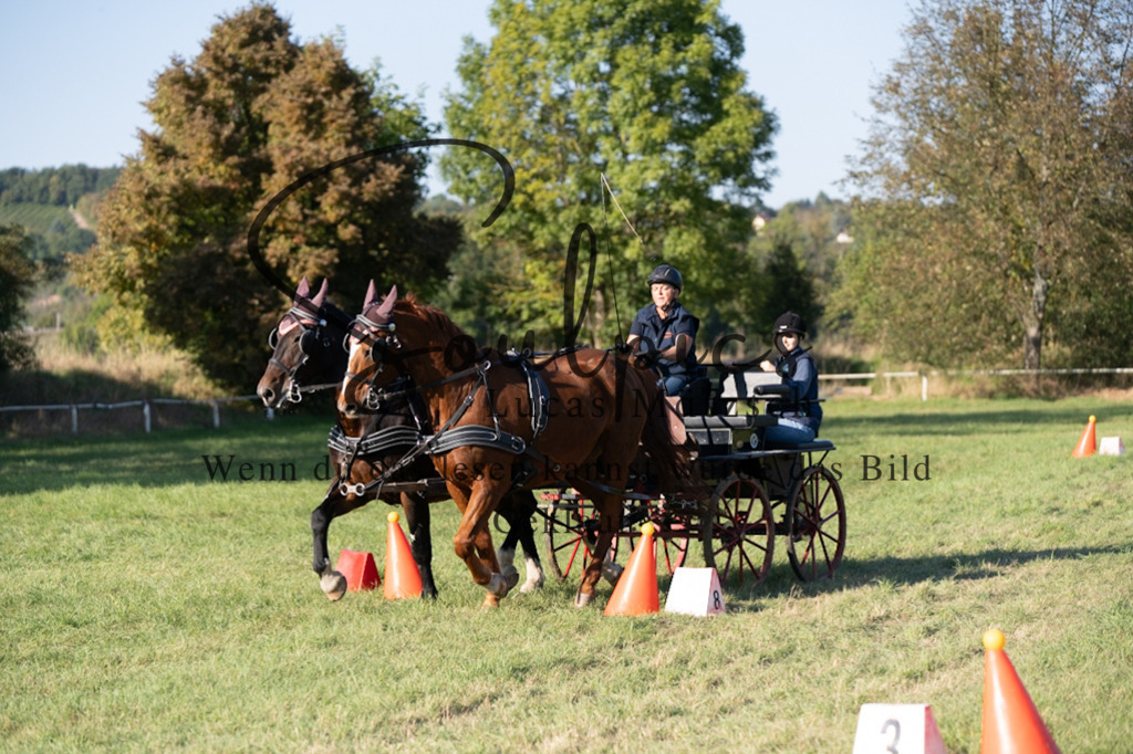 A7V04646 | Pferdefotograf