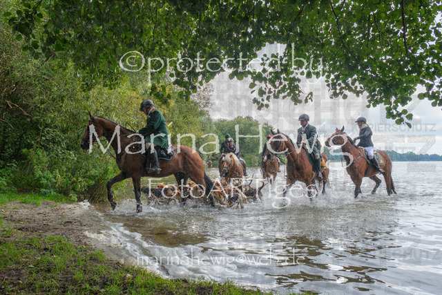 Jagd Perdoel_MarinaHewigDSCF3526 | Fotografie, FotoArt, PferdesportArt, Pferdesportfotografie, Landschaftsfotografie, Reisefotografie, Reise, Pferde - Realisiert mit Pictrs.com