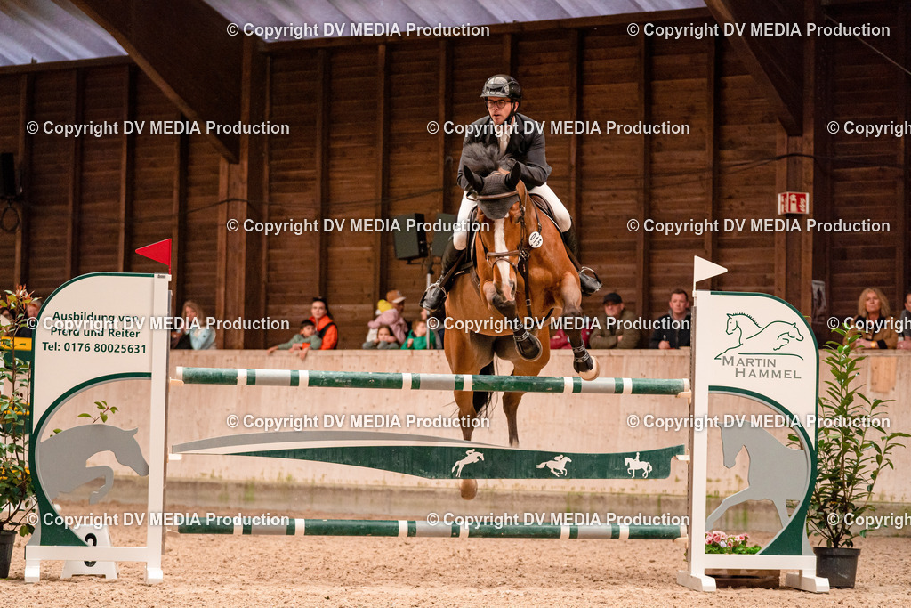 Springen Tag 3-379 | dv-media-shop - Realisiert mit Pictrs.com