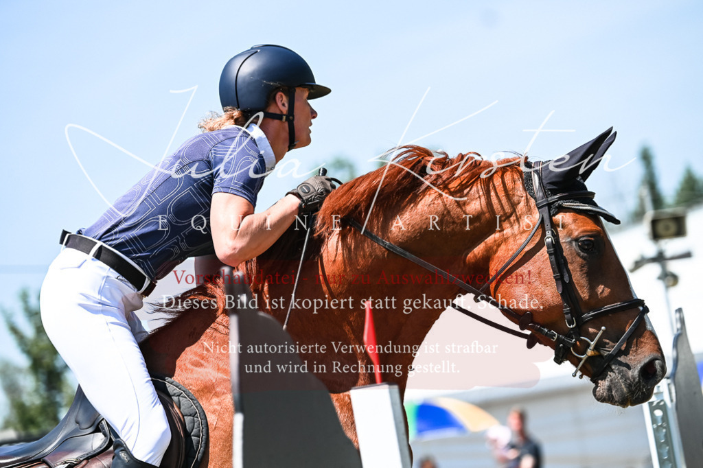 DSC_0136 | Pferde- und Turnierfotografie in Westsachsen. Pferdeportraits, Auftragszeichnungen und intuitive Kunst.