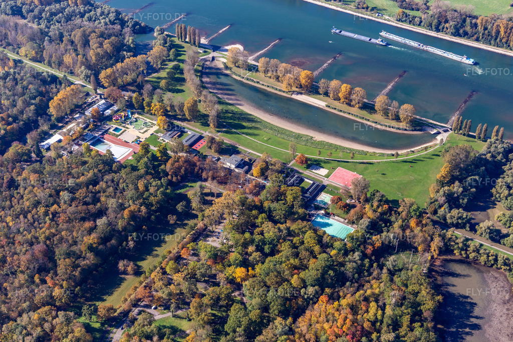 Luftbild: Uferbereiche des Freibades Rheinstrandbad Rappenwört am Rhein im Ortsteil Daxlanden in Karlsruhe im Bundesland Baden-Württemberg in Deutschland.Foto: IMG_130019.jpg vom 24.10.2021 durch Werner Riehm/FLY-FOTO.de