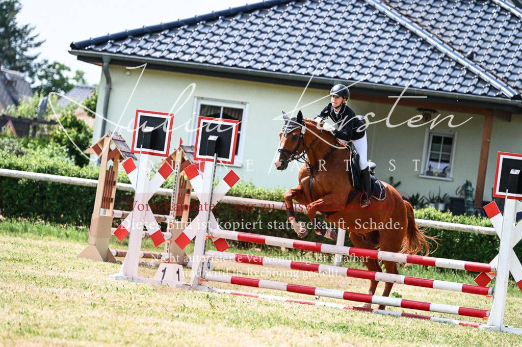 DSC_9171 | Pferde- und Turnierfotografie in Westsachsen. Pferdeportraits, Auftragszeichnungen und intuitive Kunst.