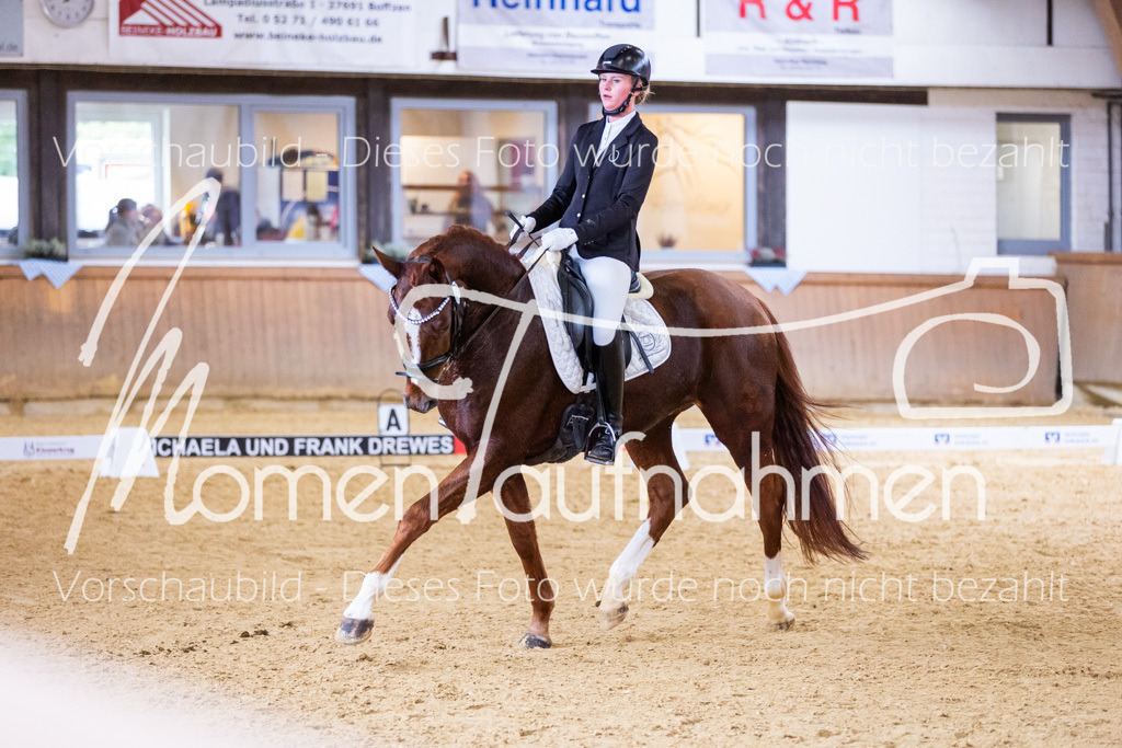 Sth-A-Dre-2St-163 | MomenTaufnahmen Pferdesportfotos