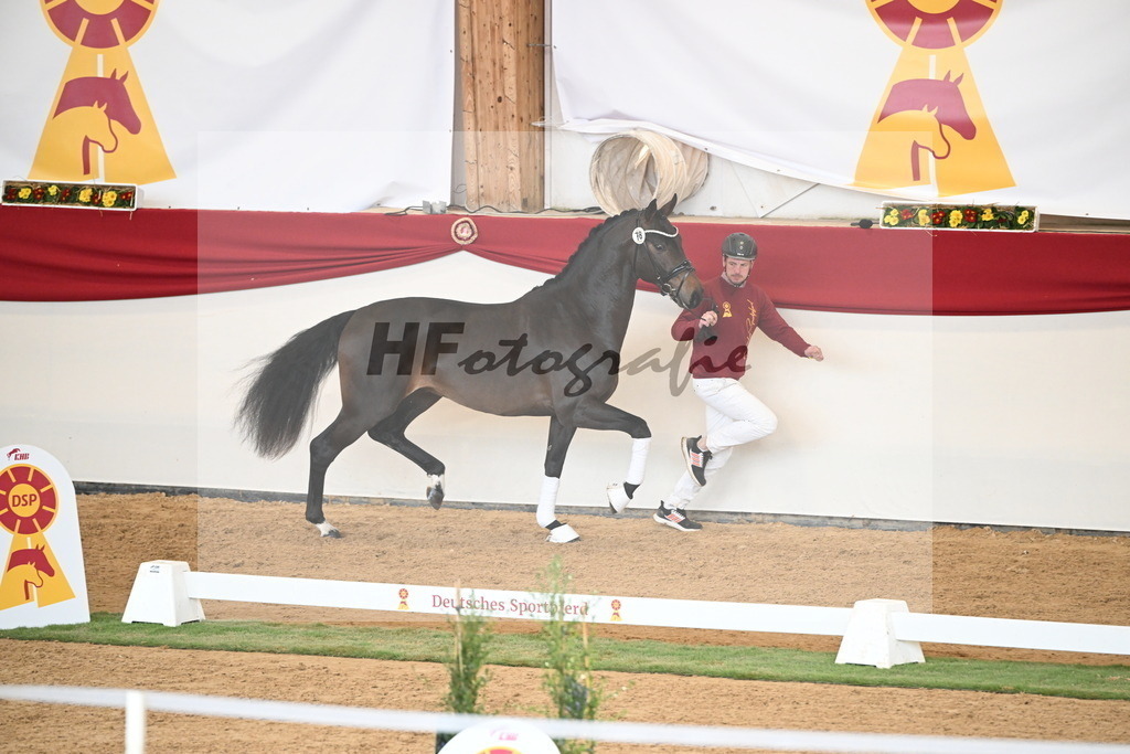 Kat.-Nr. 78 v. Springbank II VH_Reichert_2250730 | hf-fotografie - Realisiert mit Pictrs.com