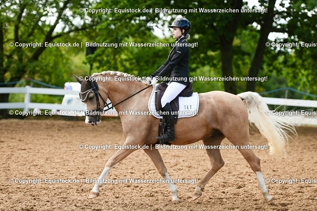 20230716_04_Dressurreiterprüfung Kl.A_0377 | equistock