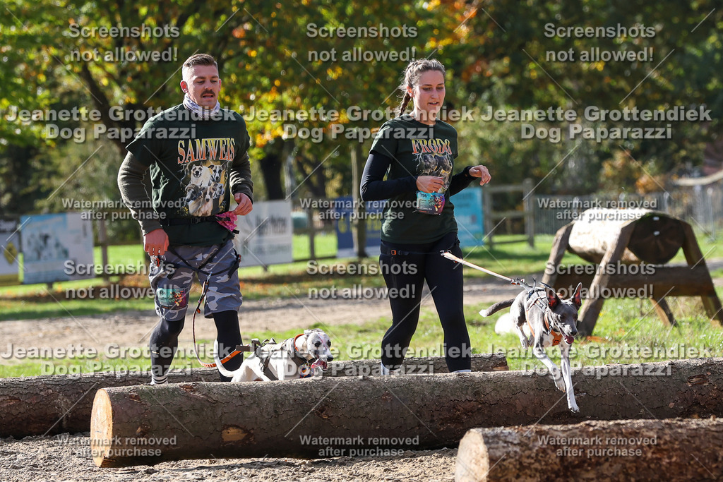Dog Paparazzi - Strongdog 10-25-5766 | Dog Paparazzi Jeanette Grottendiek Fotografie & Videografie - Realisiert mit Pictrs.com