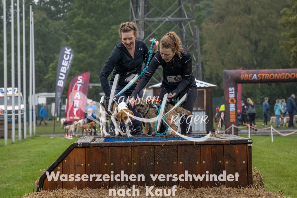 1228--3 | kk-dogfotos