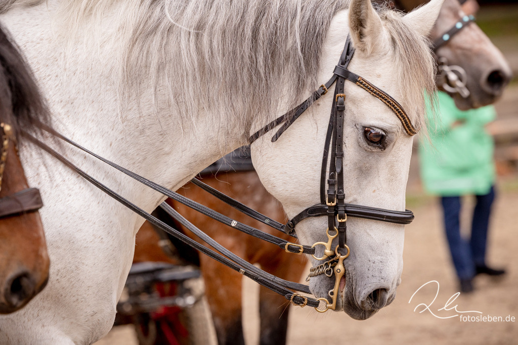 846A0947 | fotosleben - Realisiert mit Pictrs.com