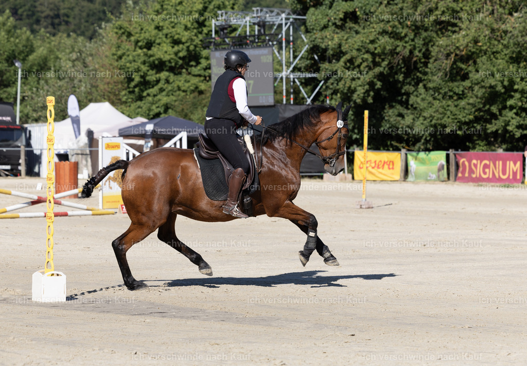 WL_Speed_140_KerstinBernhardt-5 | working equitationturnier fotograf videograf stoibphotography marixx film working equitation deutschland reitsport turnierfotografie eventfotografie equestrian events