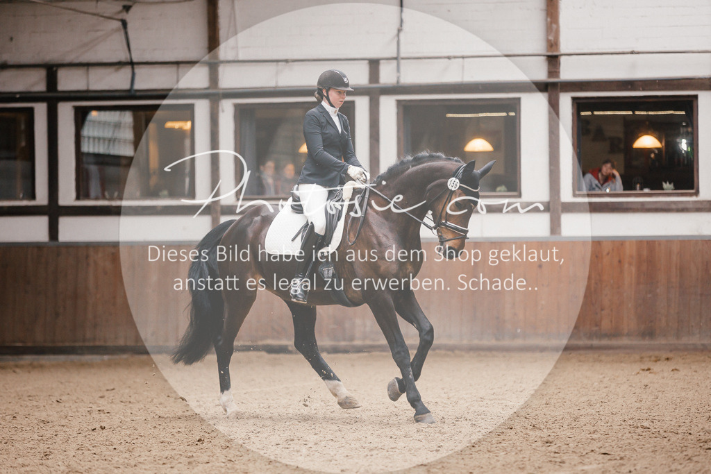 3I6A6795 | Stimmungsvolle Portraits und Reitsportfotografie im Ruhrgebiet und im Münsterland.

Pferdefotografie, Hundefotografie, Tierfotografie, Reportagen, Portraits von Tier und Mensch, Turnierfotografie in Bochum, Recklinghausen, Marl, Haltern am See, Dülmen.. - Realisiert mit Pictrs.com