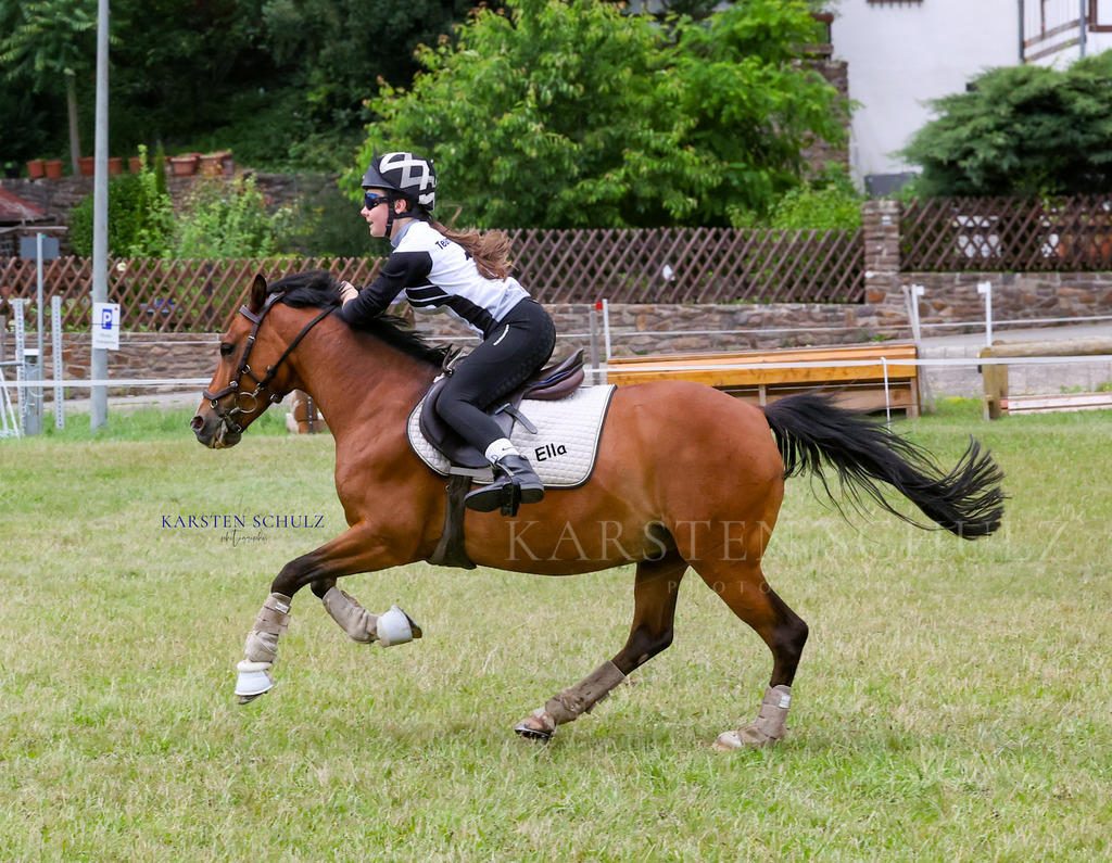 1B3A1267 | Reitsport Reiten