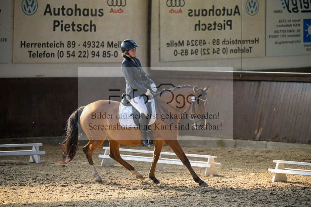 Reitturnier Voxtrup | Entdecke hochwertige Reitturnierfotos von Foto Oger. Professionell, emotional und authentisch – jetzt Lieblingsmomente im Shop bestellen.Deutschlandweite Turnierfotografie. - Realisiert mit Pictrs.com