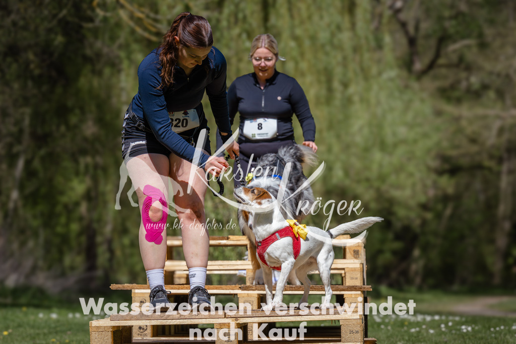 1236_ZZ92631 | kk-dogfotos