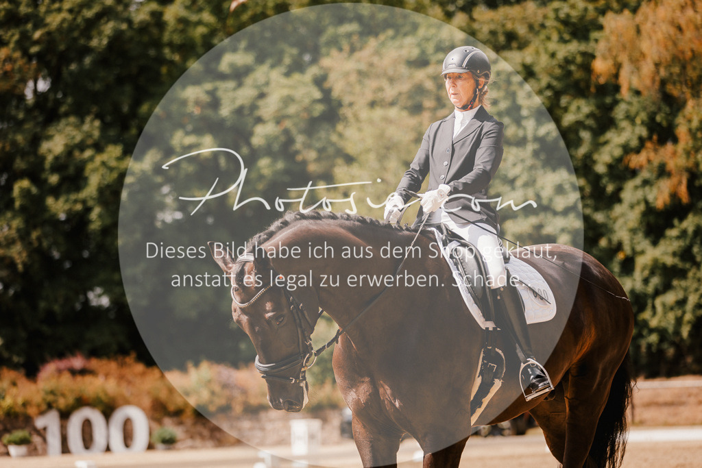 3I6A6119 | Stimmungsvolle Portraits und Reitsportfotografie im Ruhrgebiet und im Münsterland.

Pferdefotografie, Hundefotografie, Tierfotografie, Reportagen, Portraits von Tier und Mensch, Turnierfotografie in Bochum, Recklinghausen, Marl, Haltern am See, Dülmen.. - Realisiert mit Pictrs.com