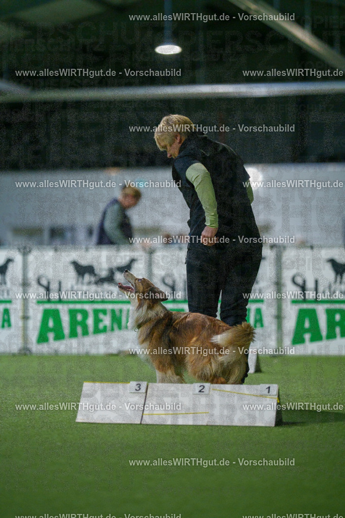 7R509692 | Professionelle Tierfotografie in Mönchengladbach von Daniel Wirth (allesWIRTHgut). Liebevolle & natürliche Bilder von Hunden & Katzen für unvergessliche Erinnerungen.