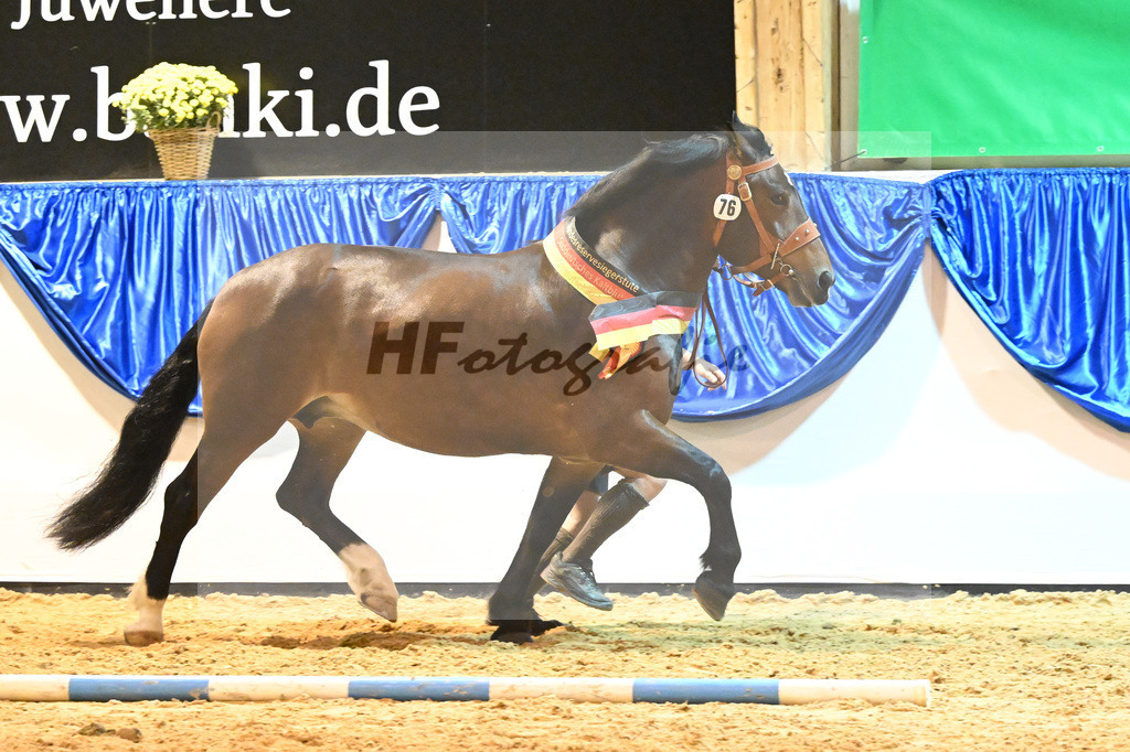 Kat-Nr. 76 Pipa_Gasteiger_53221471 | hf-fotografie - Realisiert mit Pictrs.com