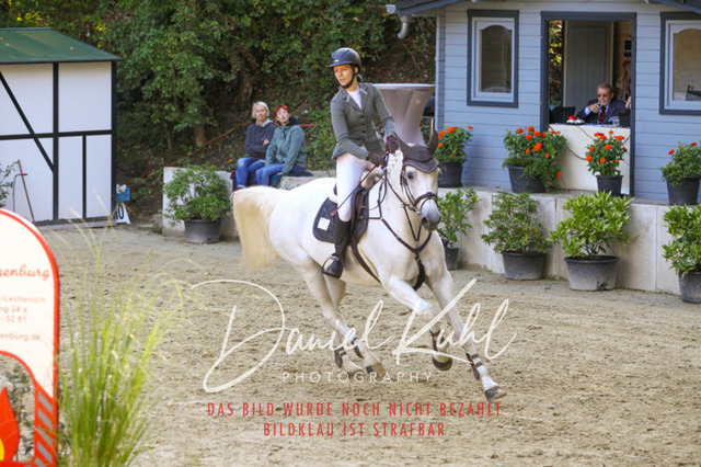 DKP42853 | Deine Turnierfotos vom Reitturnier online kaufen: Dressur, Springen & Siegerehrung. Professionelle Pferdefotografie aus dem Rheinland – als Download & Print.Alternative: Turnierfotograf für den Pferdesport: Finde deine Fotos von Dressur- und Springturnier