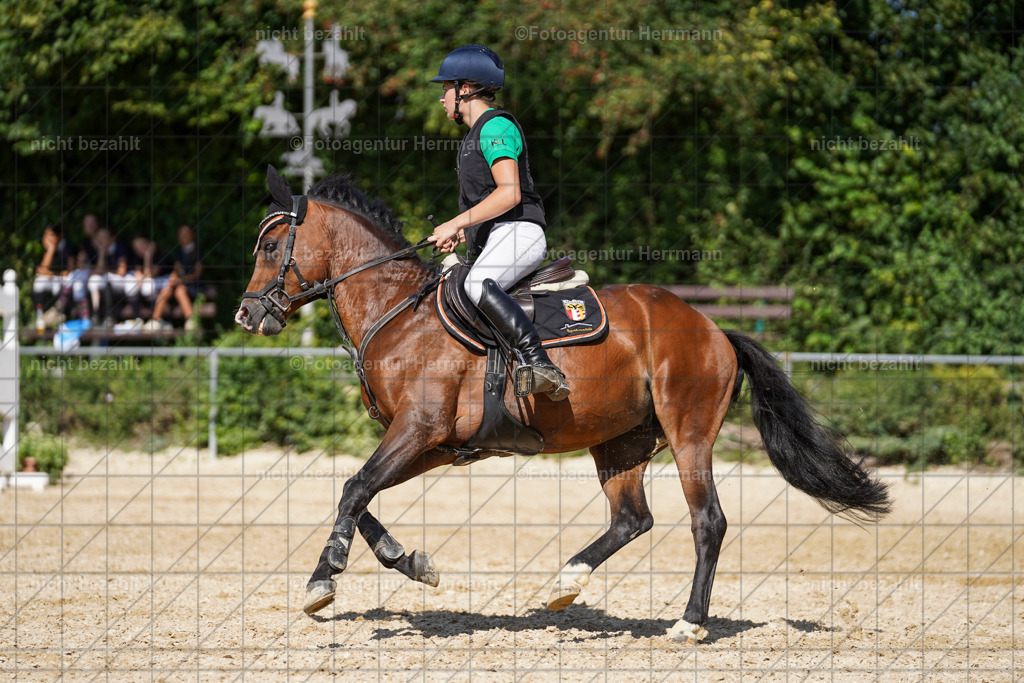 20240824-FAH08413 | Thierhaupten 2024, Bayerisches Landesponyturnier, Turnierbilder, Ponybilder, Turnierfotografen Bayern, Fotoagentur Herrmann