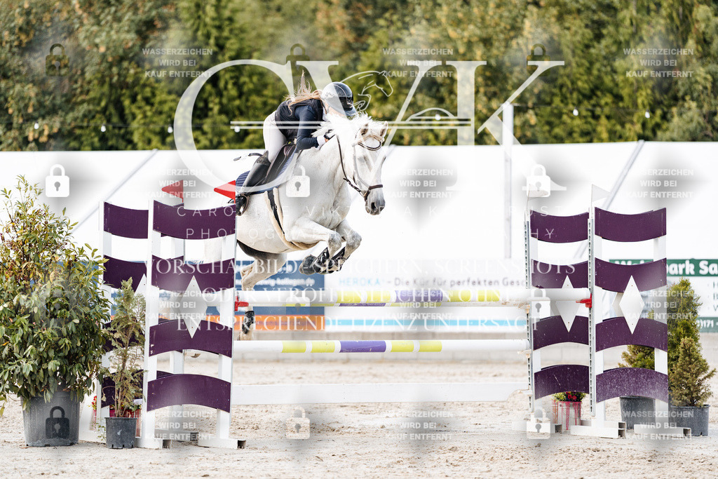 CK903895 | Turnierfotografie Pferdefotografie Trier Rheinland-Pfalz Pferdesport Reitsport Tierfotografie Sportfotografie Pferdevideo Pferdevideografie Equestrianvideography equestrianphotography  - Realisiert mit Pictrs.com